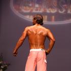 Steven  Ross - NPC Southern Classic 2013 - #1